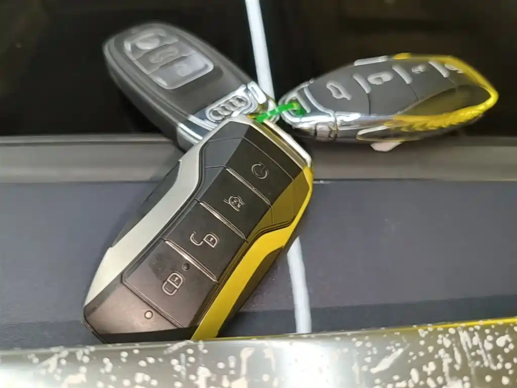 BYD Tang New Energy 2021 DM-i 112KM Honor фото 9