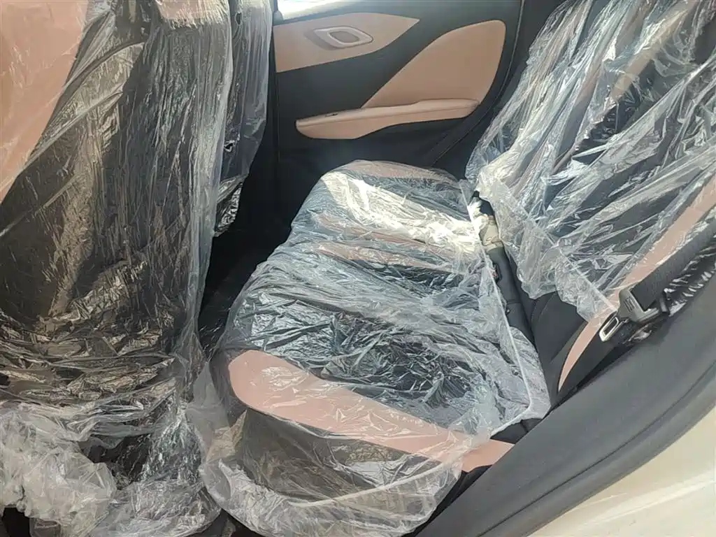 BYD Seagull 2025 Smart Drive Edition 305km Vitality Version фото 17