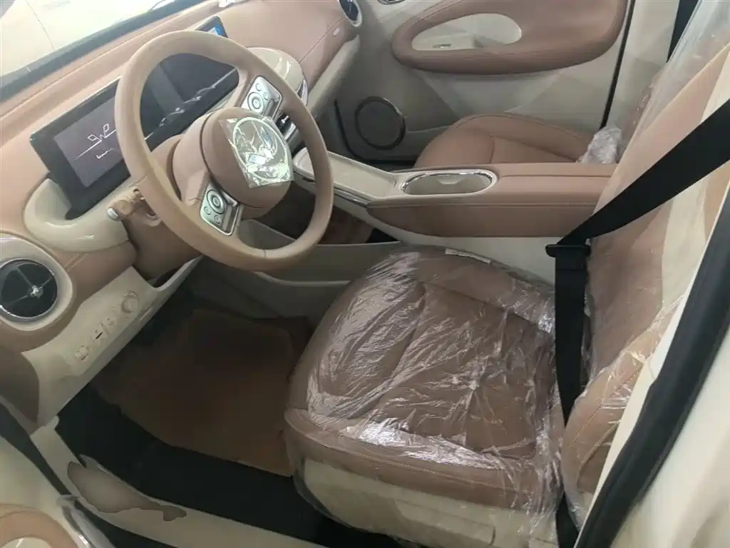 Wuling Motors Wuling Bingo 2026 2025 Model 333km Joy Edition