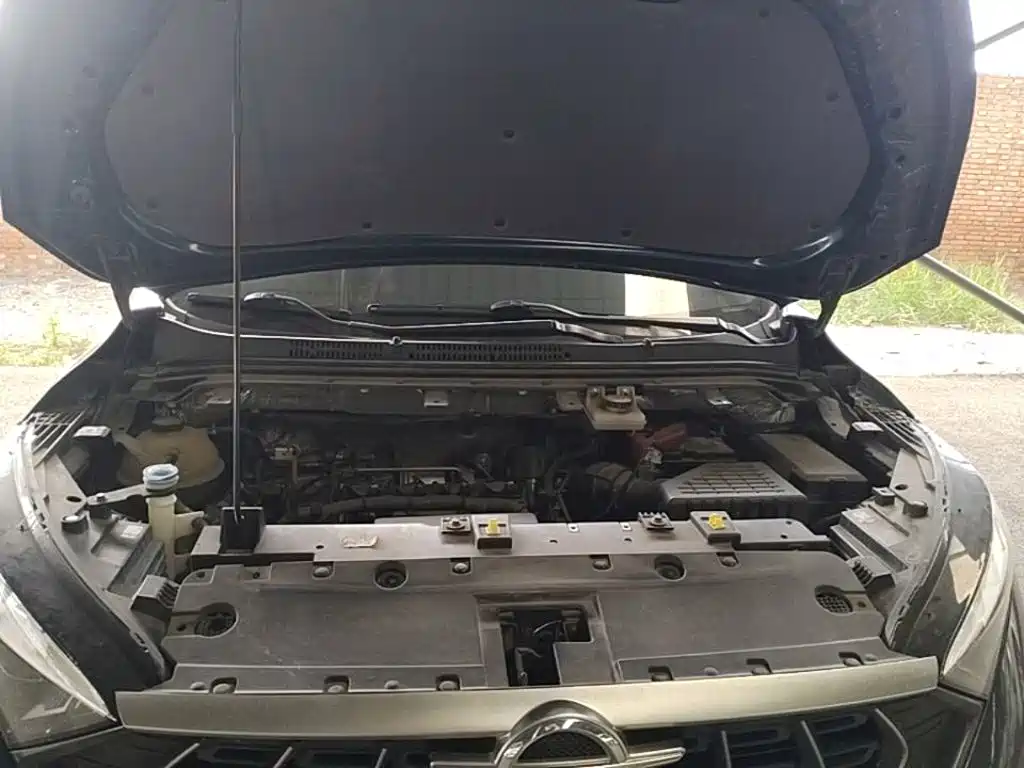 Haima 7X 2022 2020 1.6TGDI Automatic Flagship