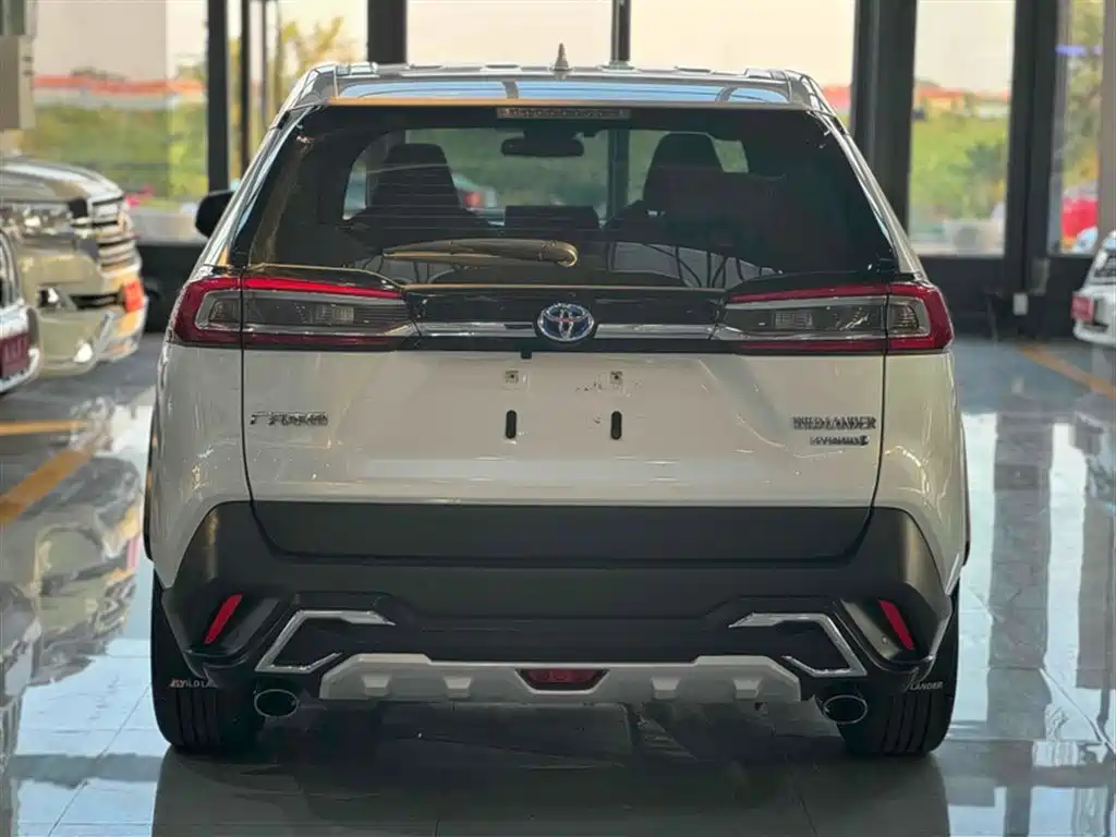 Toyota Wildlander 2020 Dual Engine 2.5L E-CVT FWD Luxury фото 9