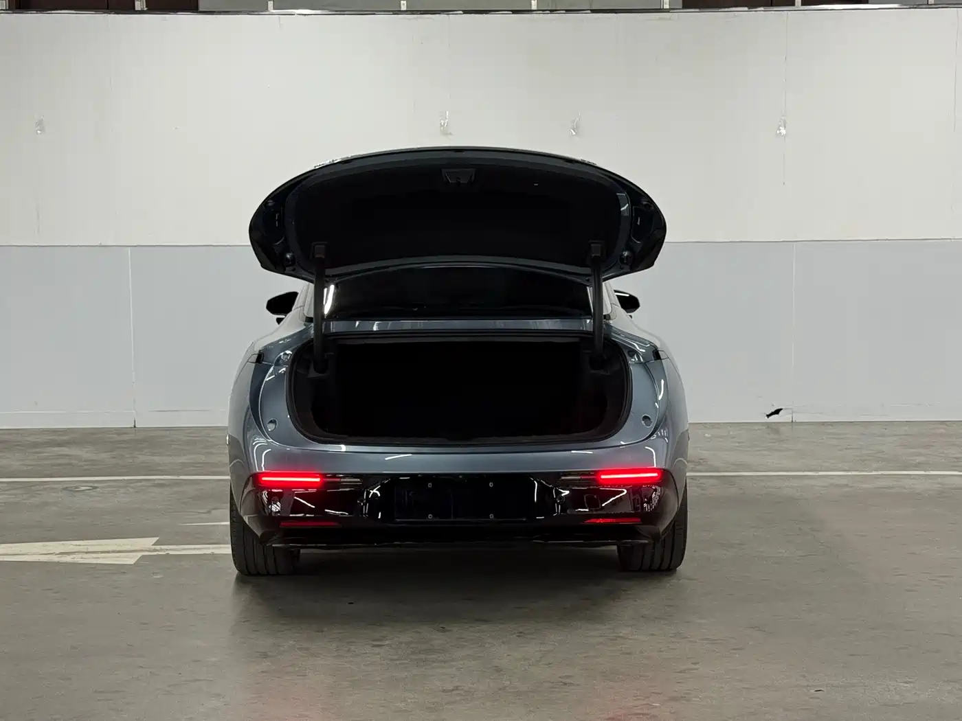 ZEEKR EXTREME KRYPTON 007