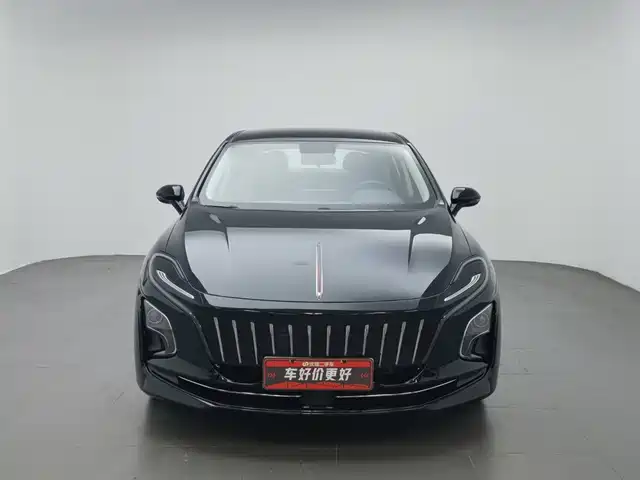 Hongqi E-QM5 2022 431km Charging Enjoyment Edition — фото 3