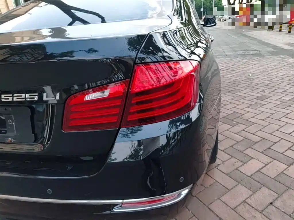 BMW 5 Series 2014 525Li Luxury Design Package фото 8
