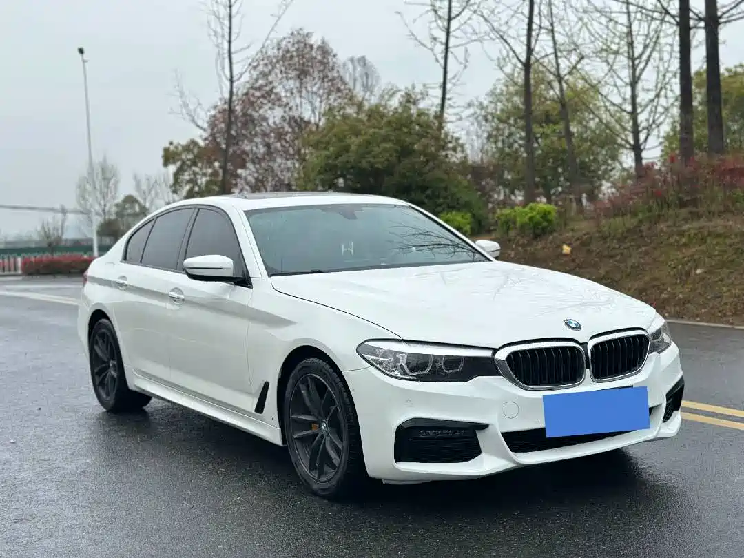 BMW 5 Series (Import) 2018 525i M Sport Package фото 2