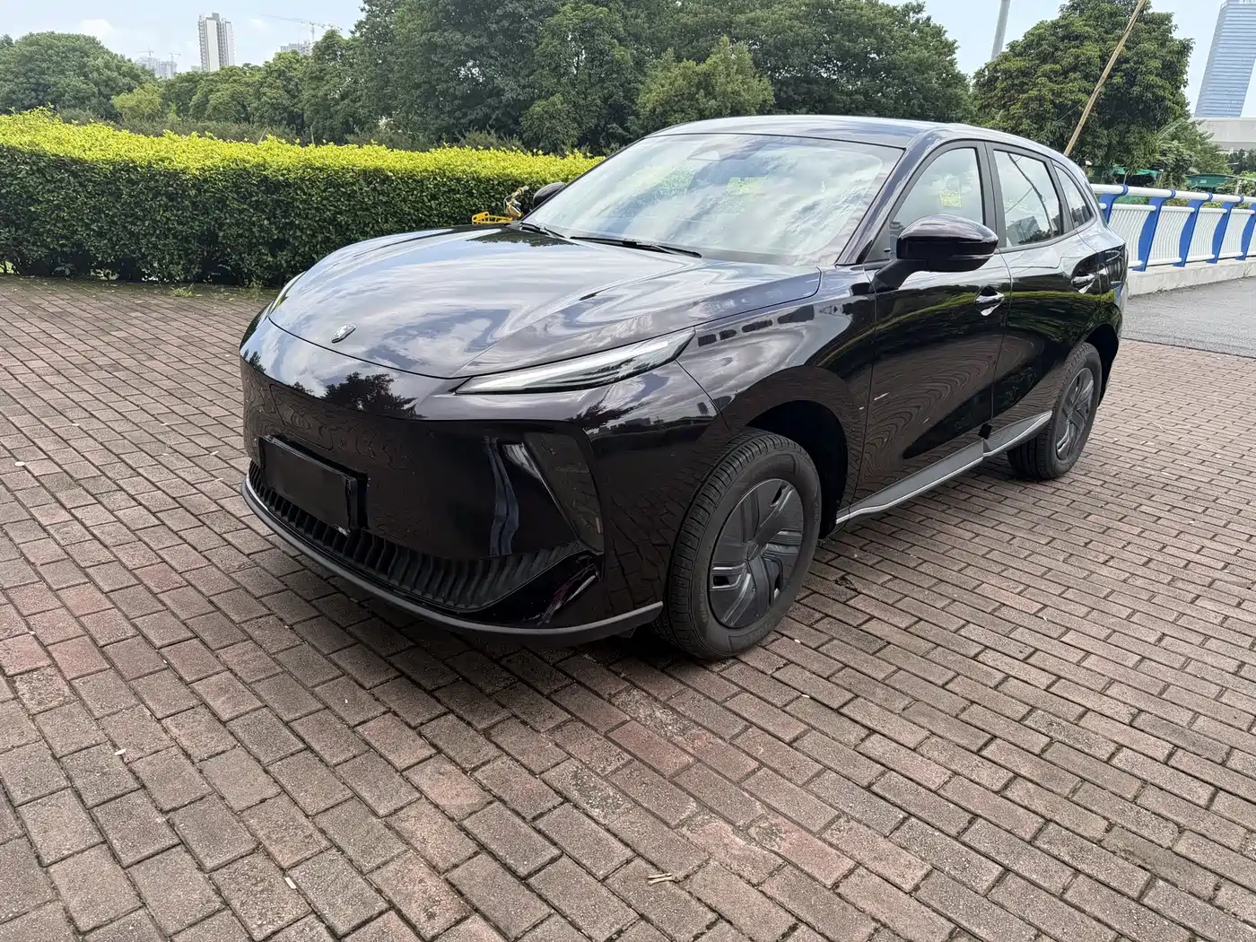 Dongfeng Fengxing Stellar X5 2025 2025 Pilot Edition