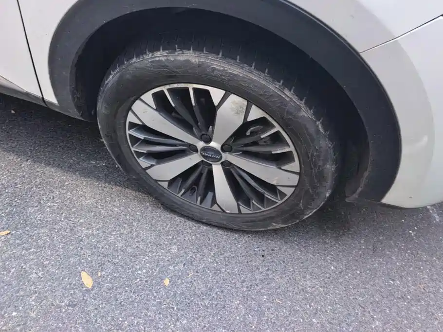 Фото 6 - Haval F7x