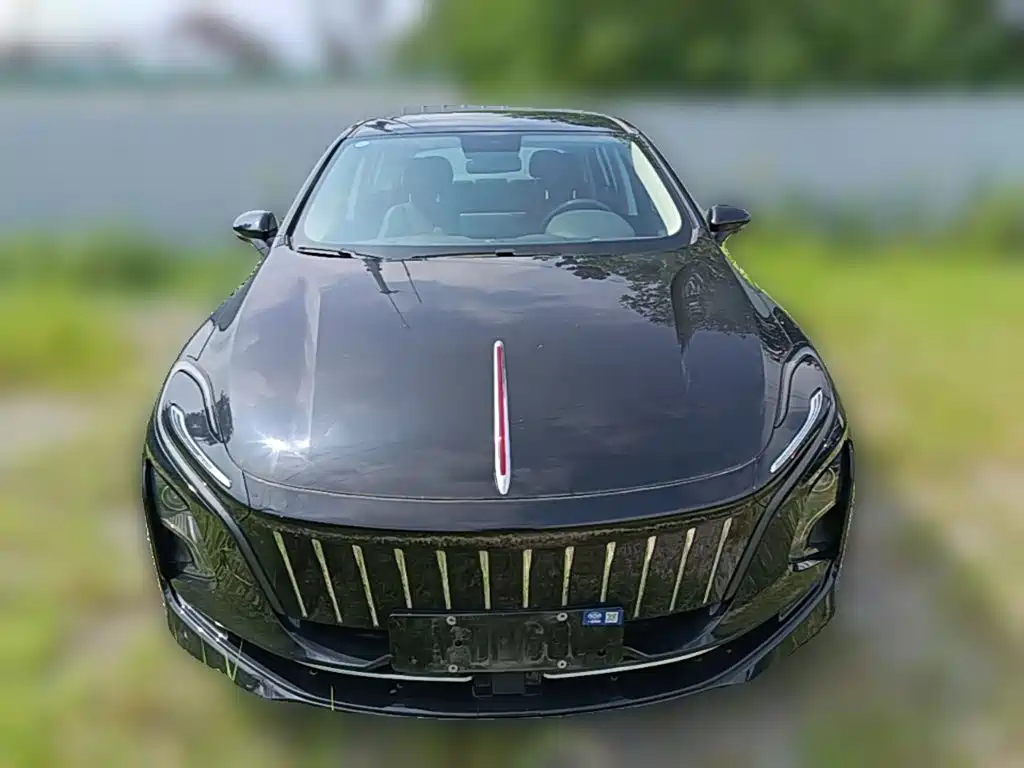 Photo 5 - Hongqi E-QM5