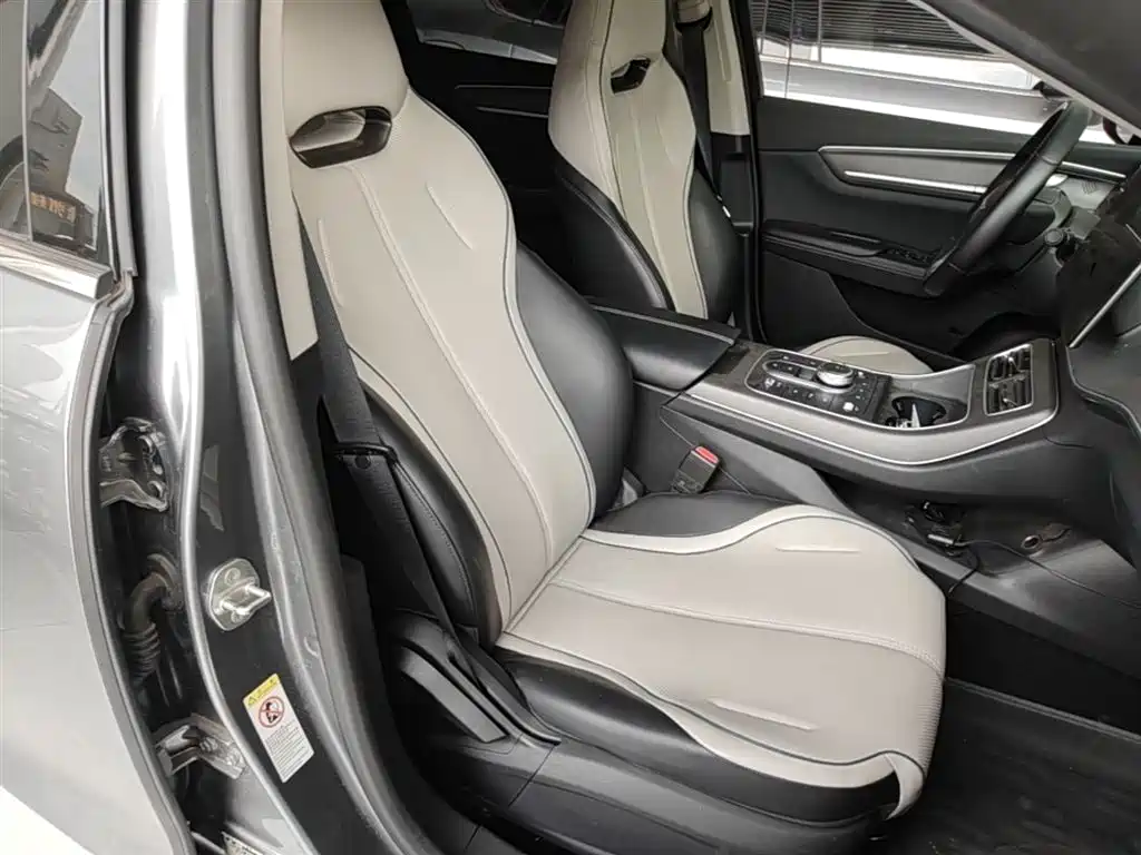 BYD Destroyer 05 2024 Glory Edition DM-i 55KM Luxury фото 25