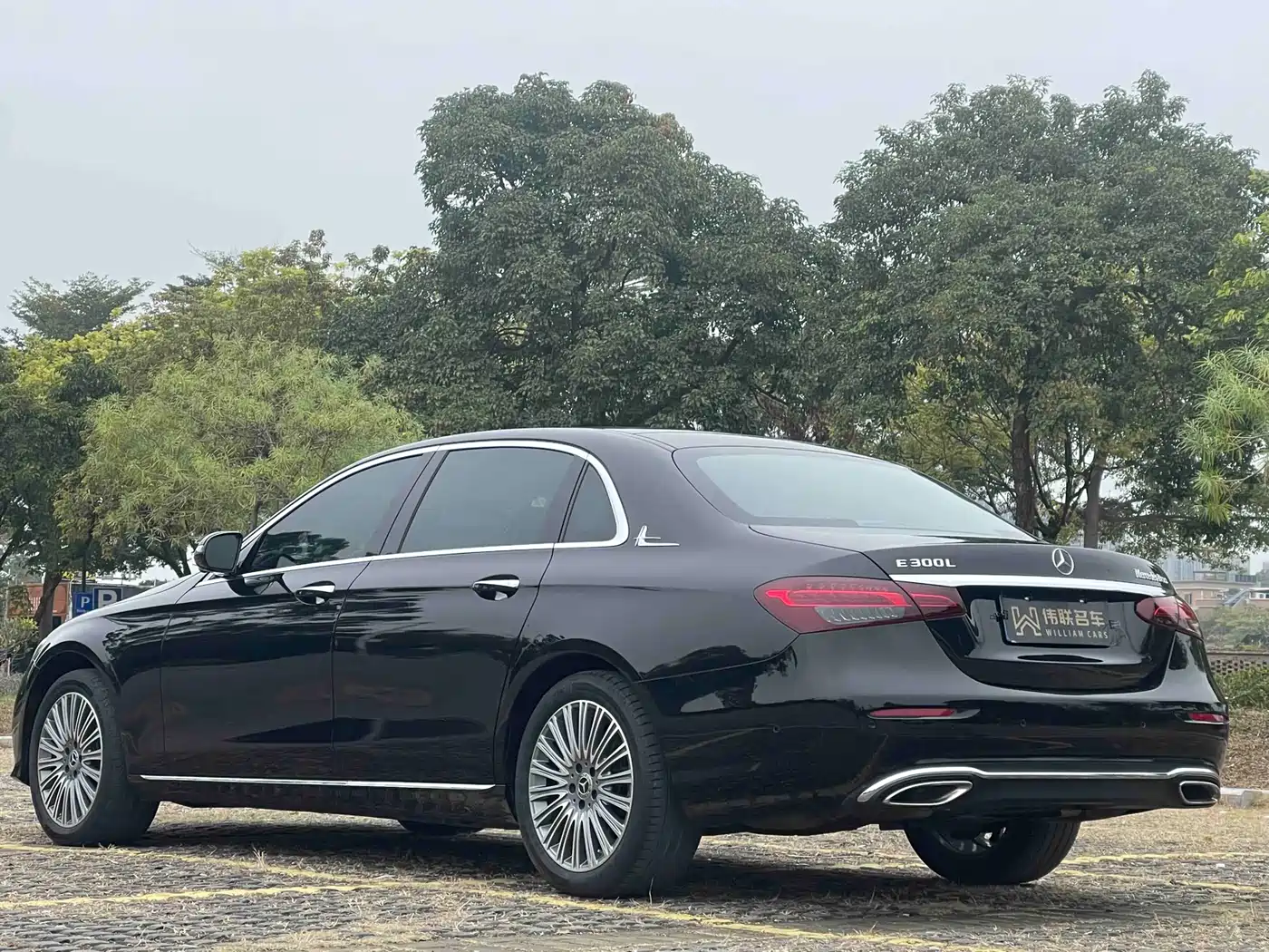 Mercedes-Benz E-Class 2021 E 300 L Luxury фото 7