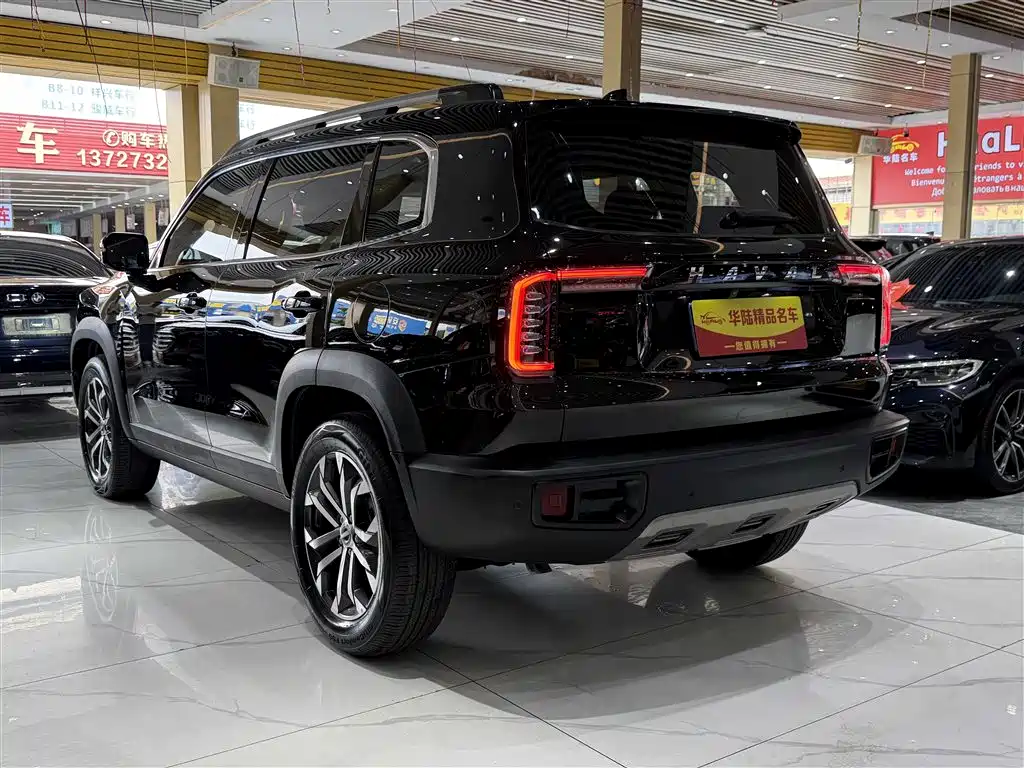 Haval Big Dog 2021 1.5T DCT 2WD Border Collie Edition фото 4