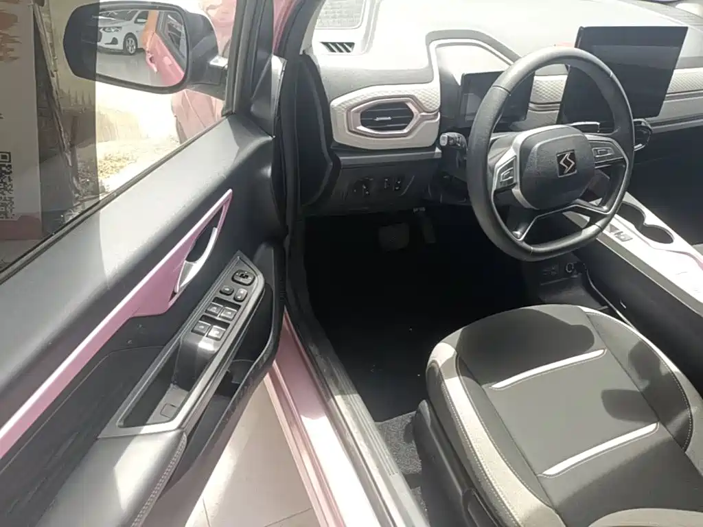 Sehol Flower Fairy 2023 2023 Anniversary Edition 301km Starlight 45kW