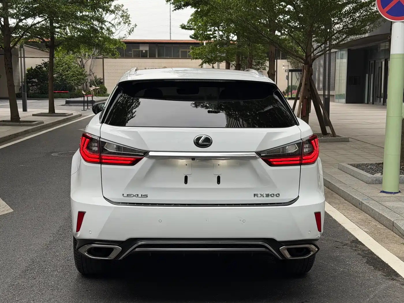 Lexus RX 2016 300 AWD F SPORT Edition China V фото 18