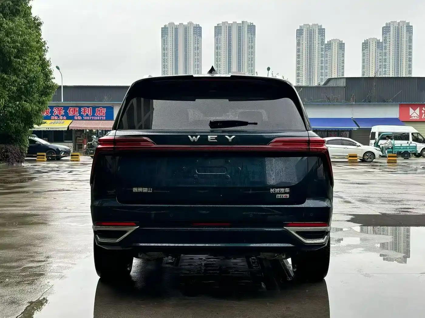 WEI PAI WEI BRAND BLUE MOUNTAIN