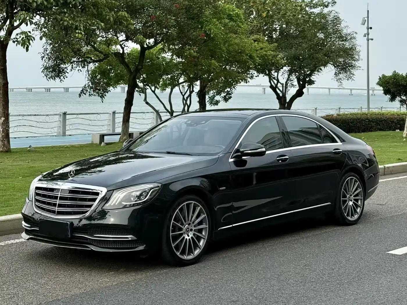 Mercedes-Benz S-Class 2020 S 350 L Premium Edition Collector's Version