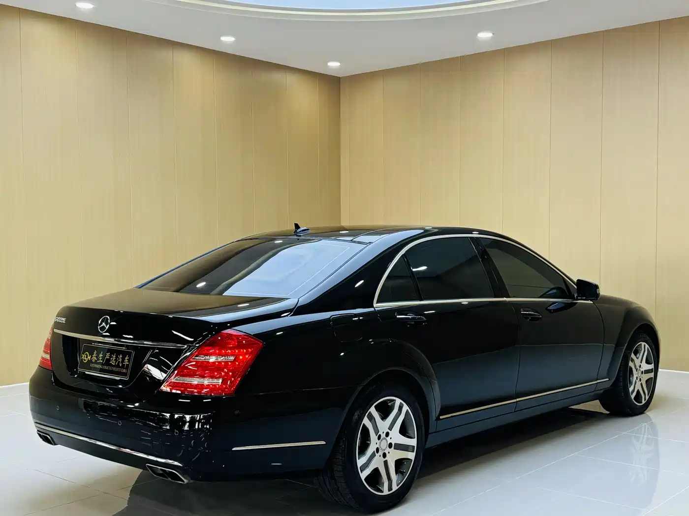 Mercedes-Benz S-Class 2010 S 600 L фото 19