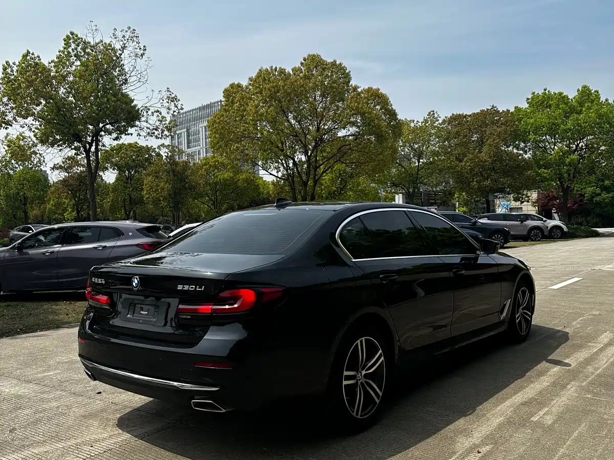 BMW 5 Series 2023 530Li Leading M Sport Package фото 7