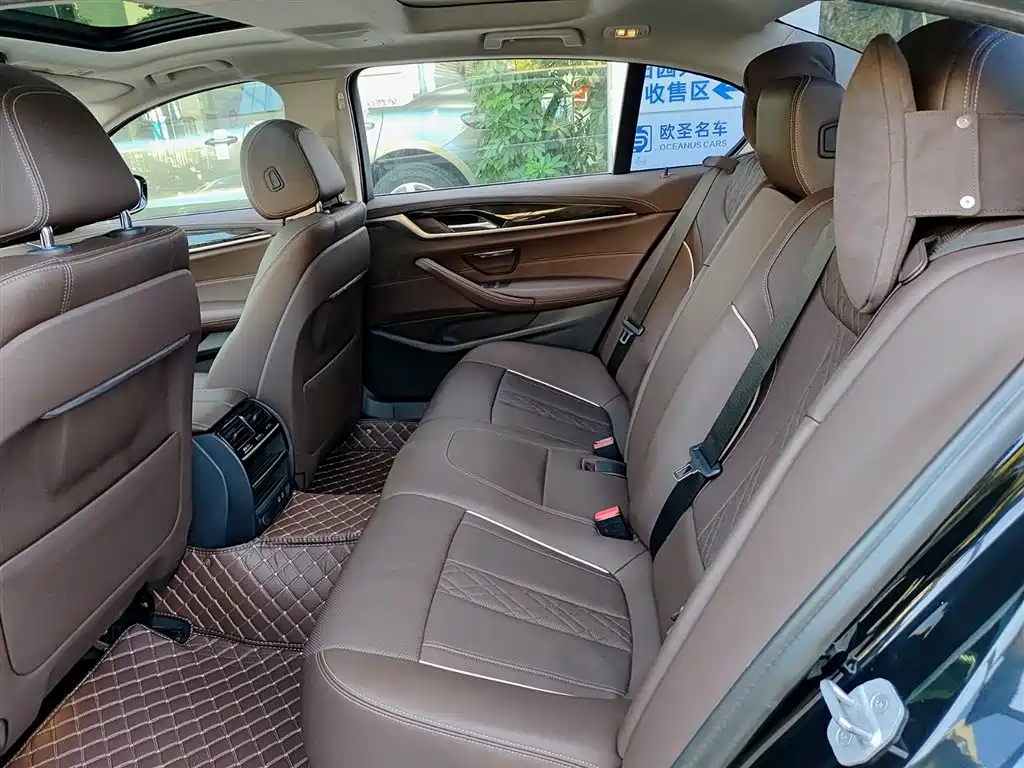 BMW 5 Series 2021 530Li Leading Luxury Package фото 8