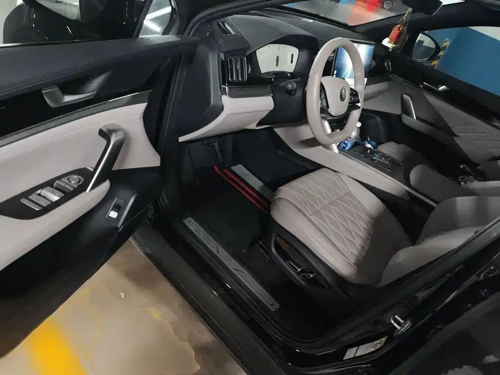 BYD Tang New Energy 2025 2025 Smart Driving Edition DM-i 115KM Premium