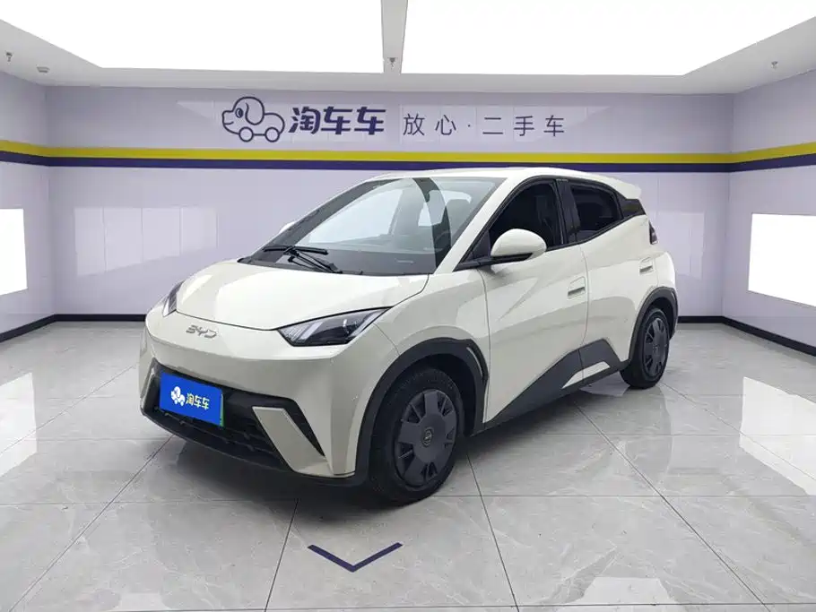BYD Seagull 2024