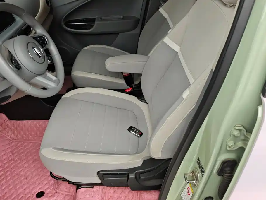 Ora White Cat 2022 2020 305km Luxury