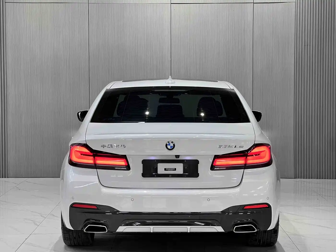 BMW 5 SERIES NEW ENERGY