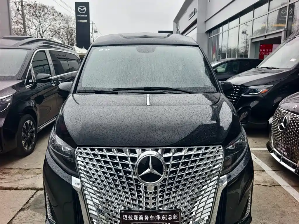 Lili Auto Vito 2025, Starlight Series 2.0T 7-Seater — автомобиль под заказ из Китая, фото 7