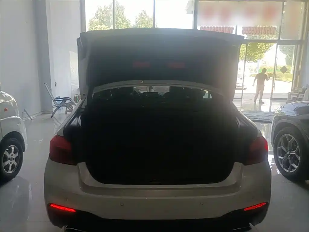 BMW 5 Series 2018 525Li M Sport Package фото 19