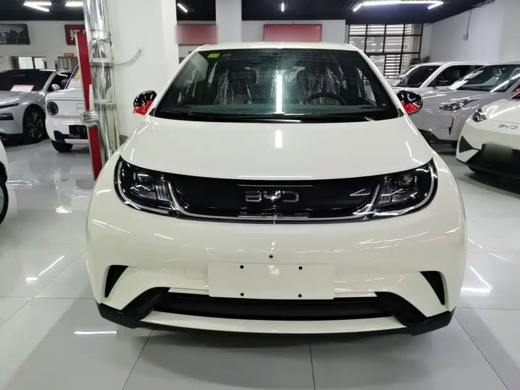 Фото 3 - BYD Dolphin