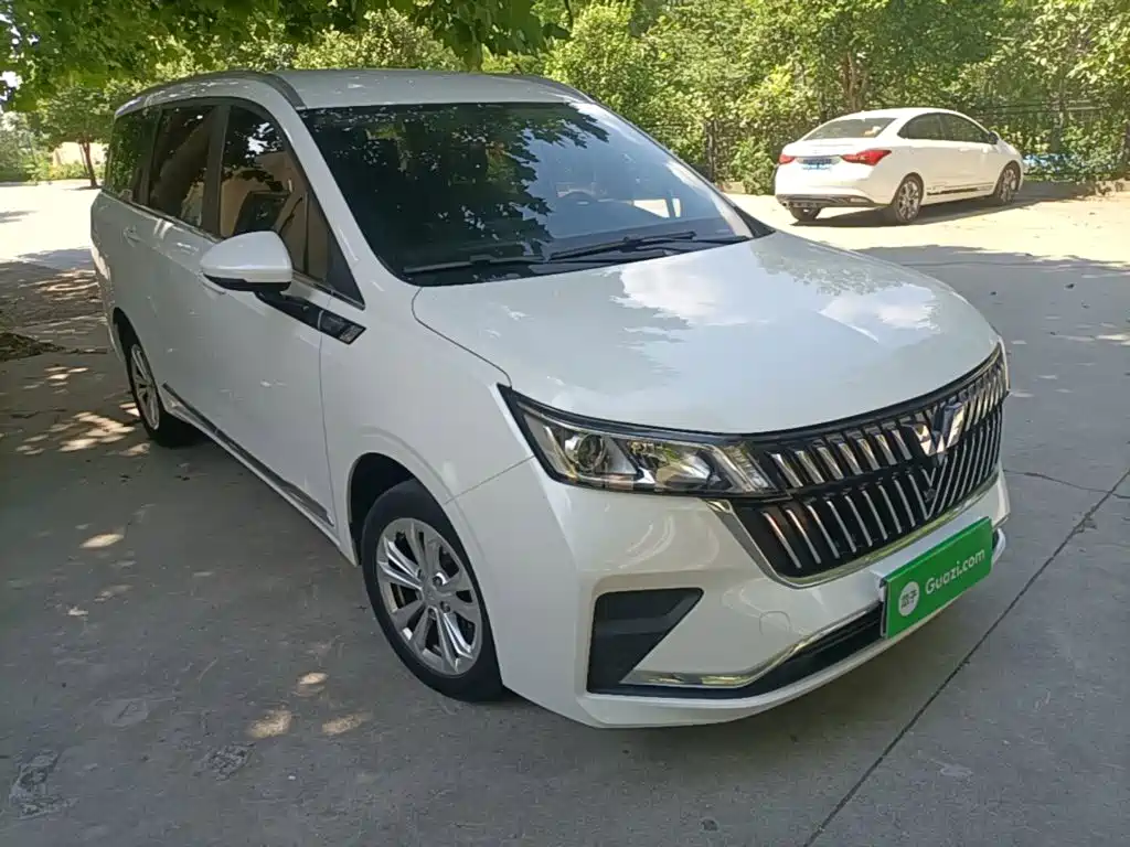 2024 Wuling Motors Wuling Jiachen