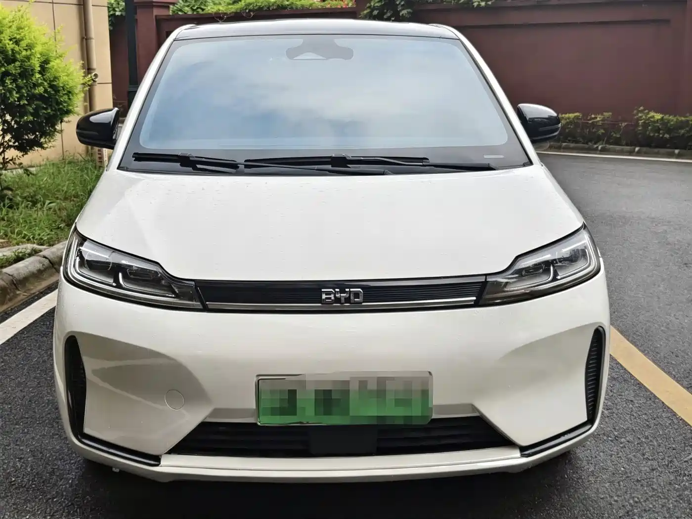 BYD D1 2020 2021 Pioneer Edition