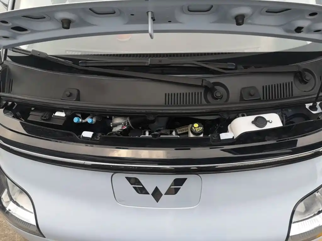 Wuling Motors Wuling Air ev 2024 2023 Model 2-Seater Standard Edition