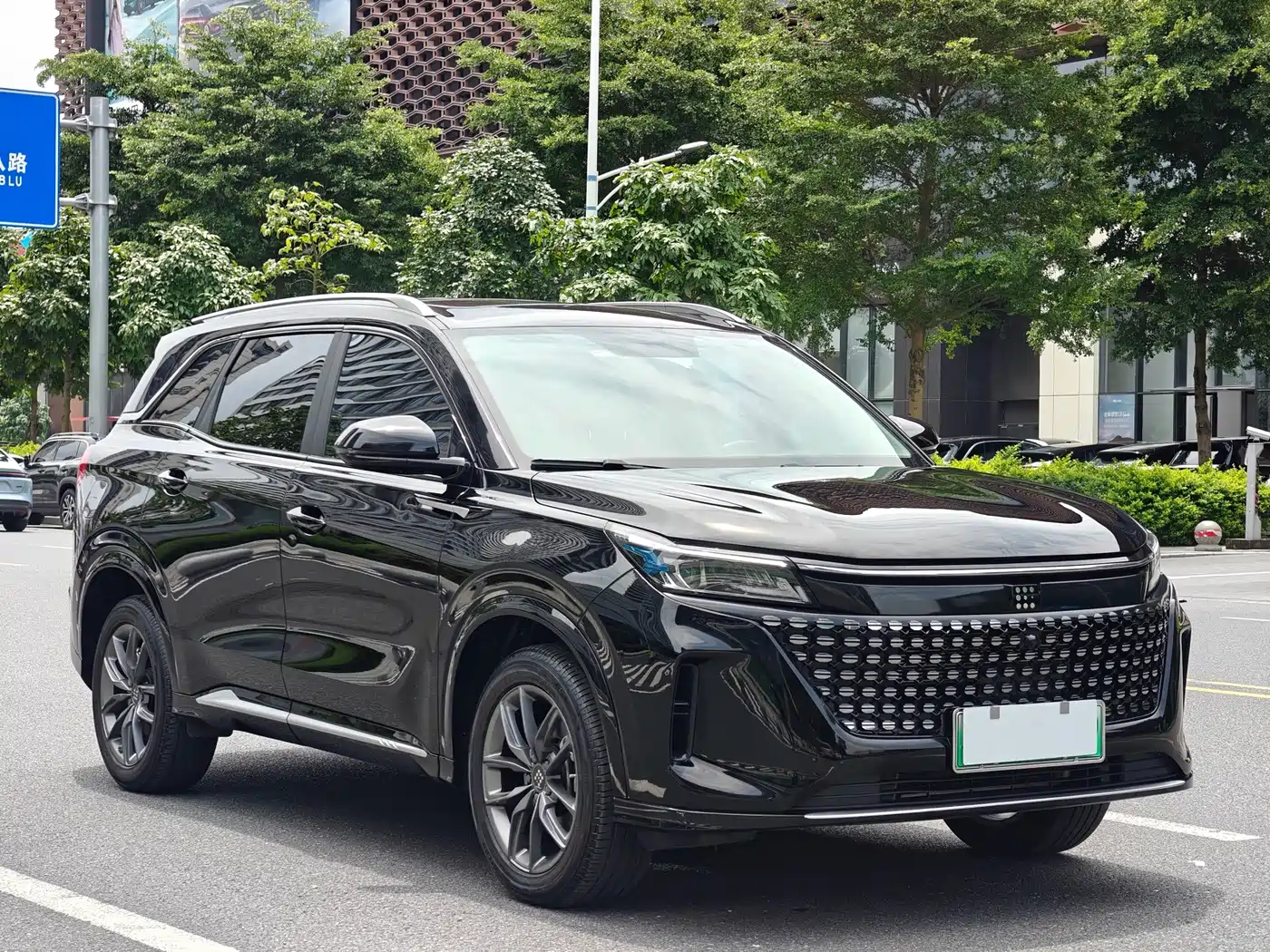 Landian E5 2024 2024 Glory Edition 100KM Premium Type 7-Seater