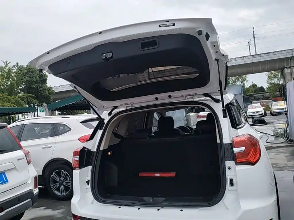 Yema Auto Bojun 2020 2019 Performance Edition 1.5T CVT LingDong Type