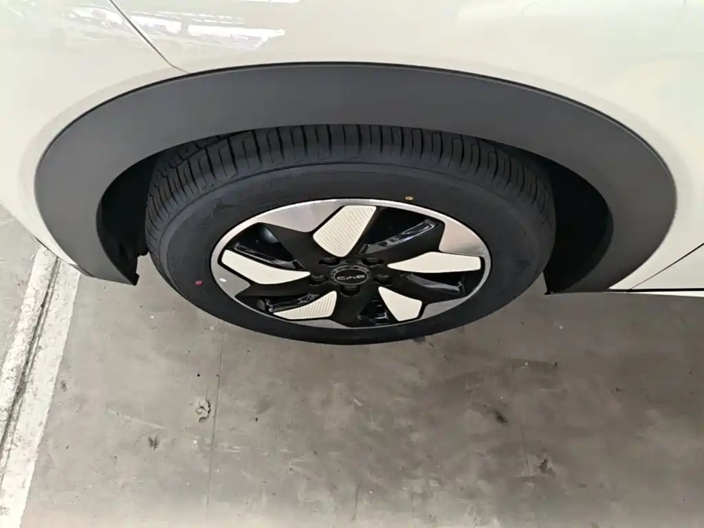 BYD Dolphin 2026 2025 420km Freedom Edition