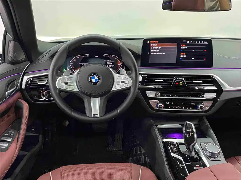 BMW 5 SERIES