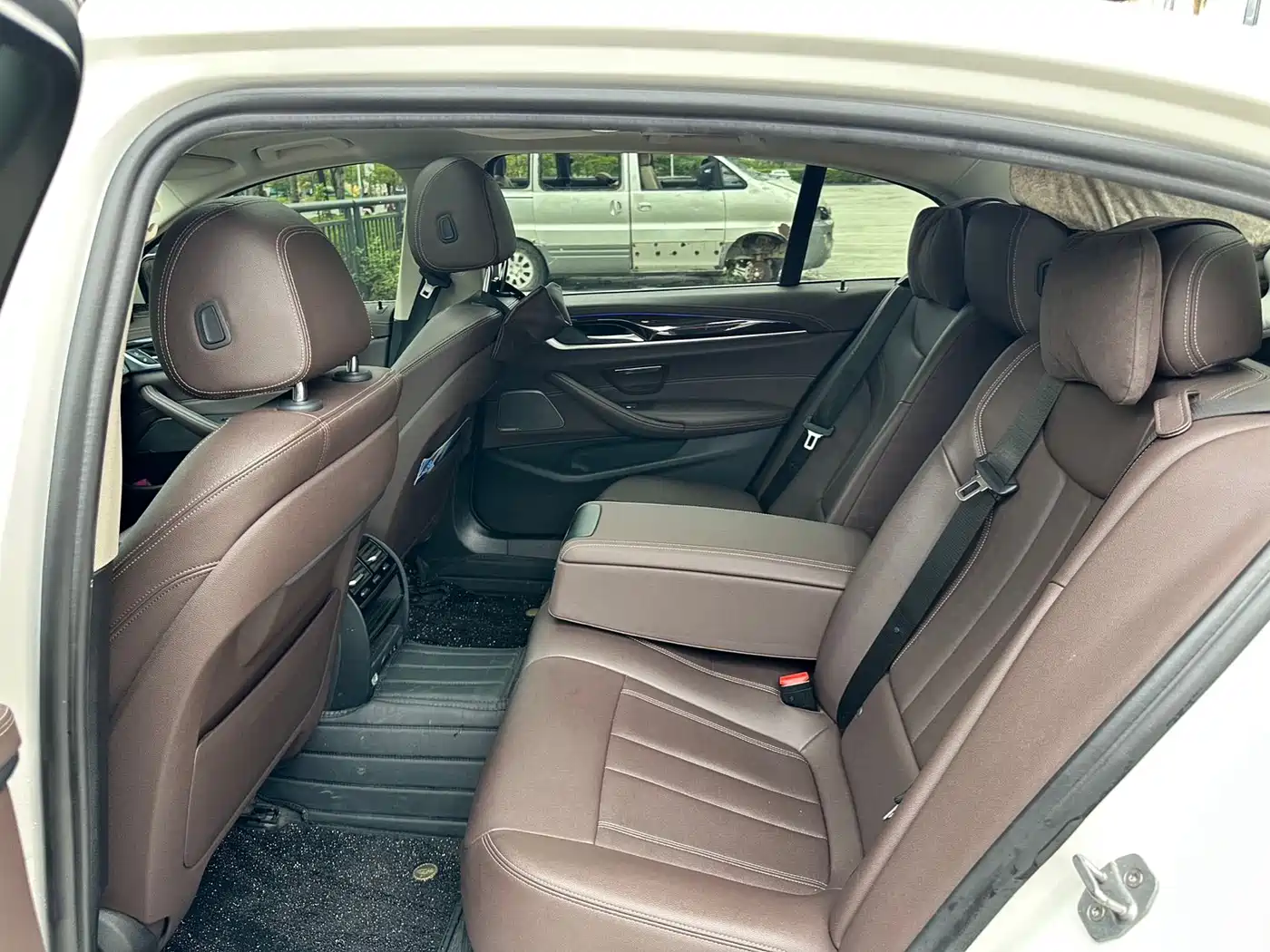 BMW 5 Series 2020 525Li Luxury Package фото 6