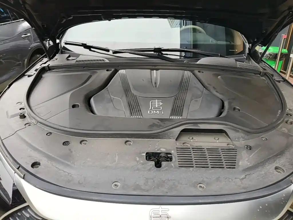 BYD Tang New Energy 2025 2025 Smart Driving Edition DM-i 115KM Flagship