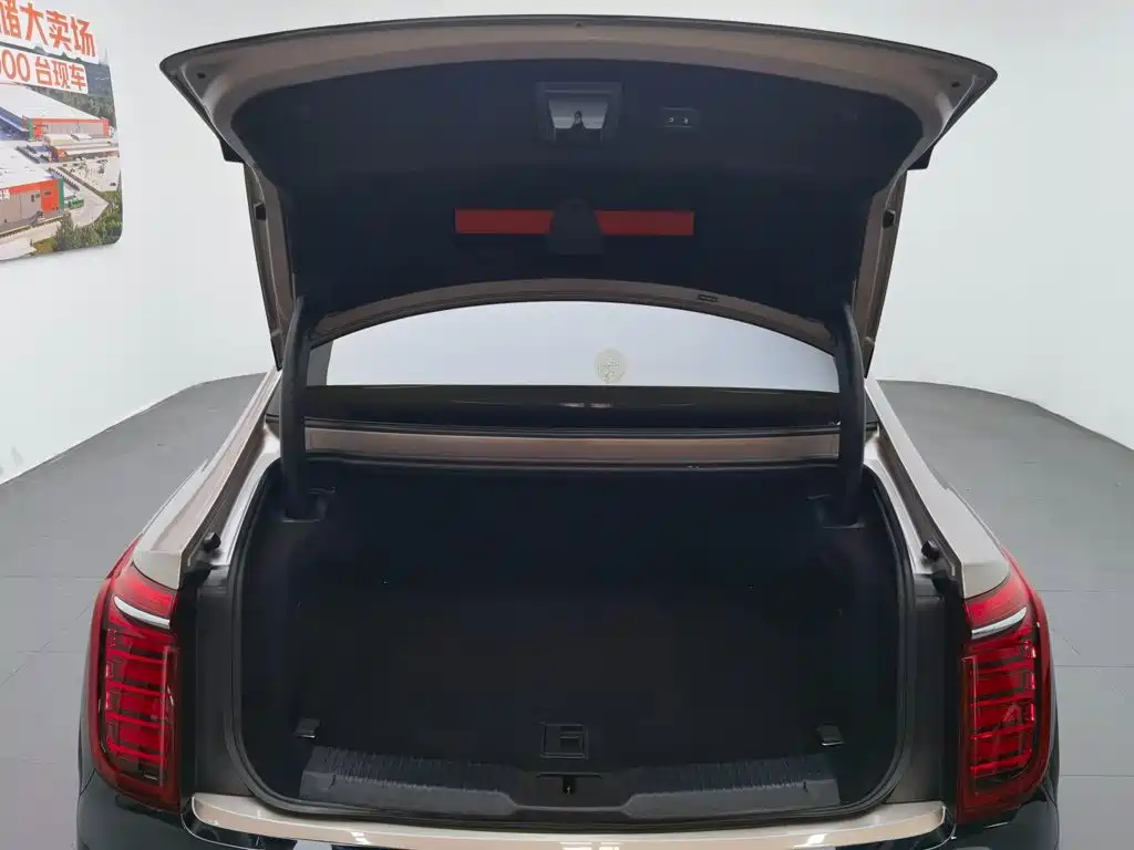 Hongqi H9, миниатюра 5