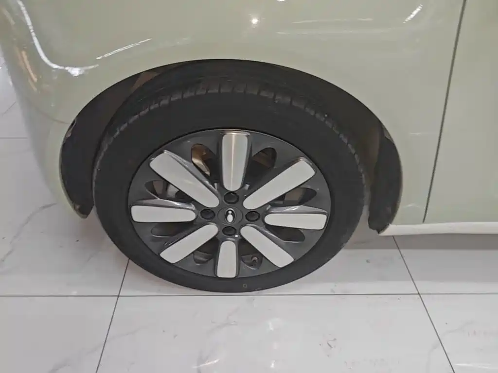 Ora Black Cat 2022 2022 351km Standard (NMC)