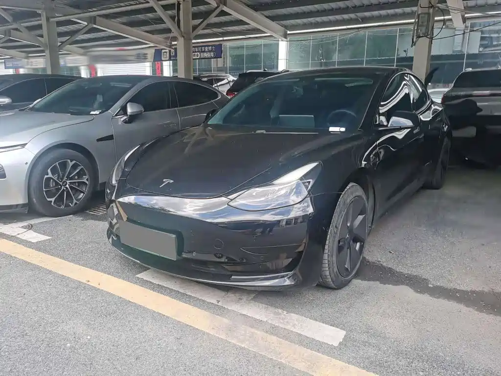 Tesla Model 3 2021
