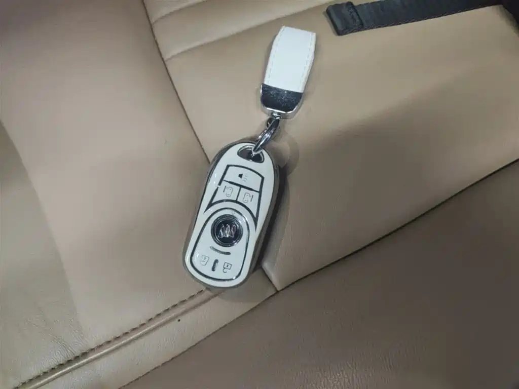 Buick GL8 2021 ES Landlord 653T Premium фото 9