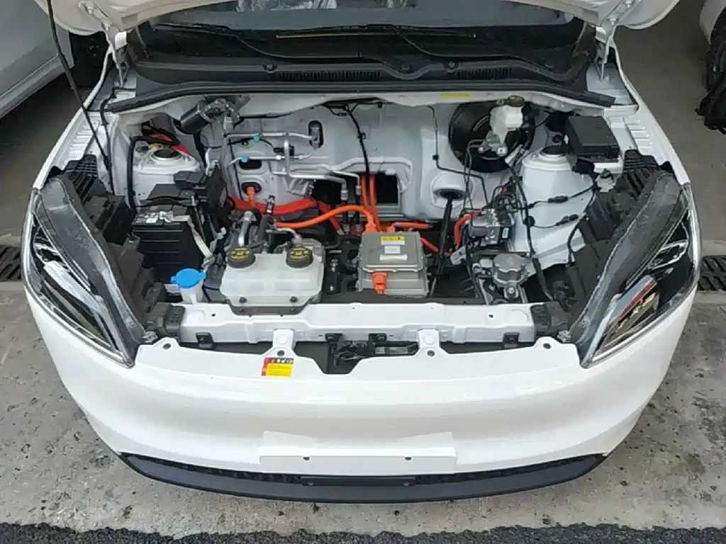 Wuling Motors Wuling Hongguang New Energy 2026 2024 Model Pure Electric 300KM Utility Version