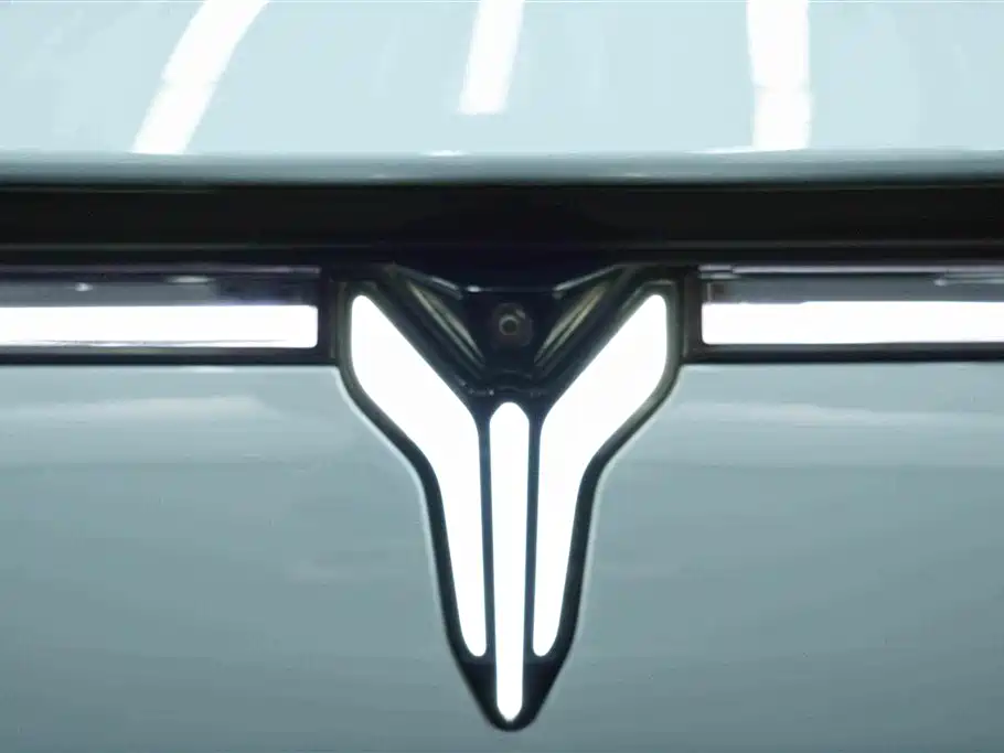 Voyah Passion 2024 2023 4WD Flagship Edition