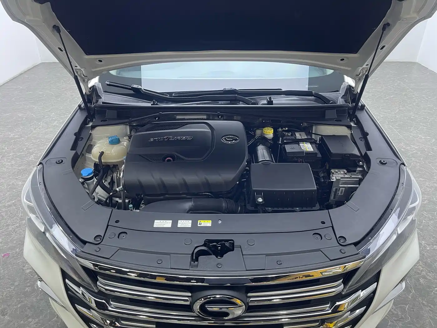 GAC Trumpchi Trumpchi GA6 2020 2019 270T Auto Luxury