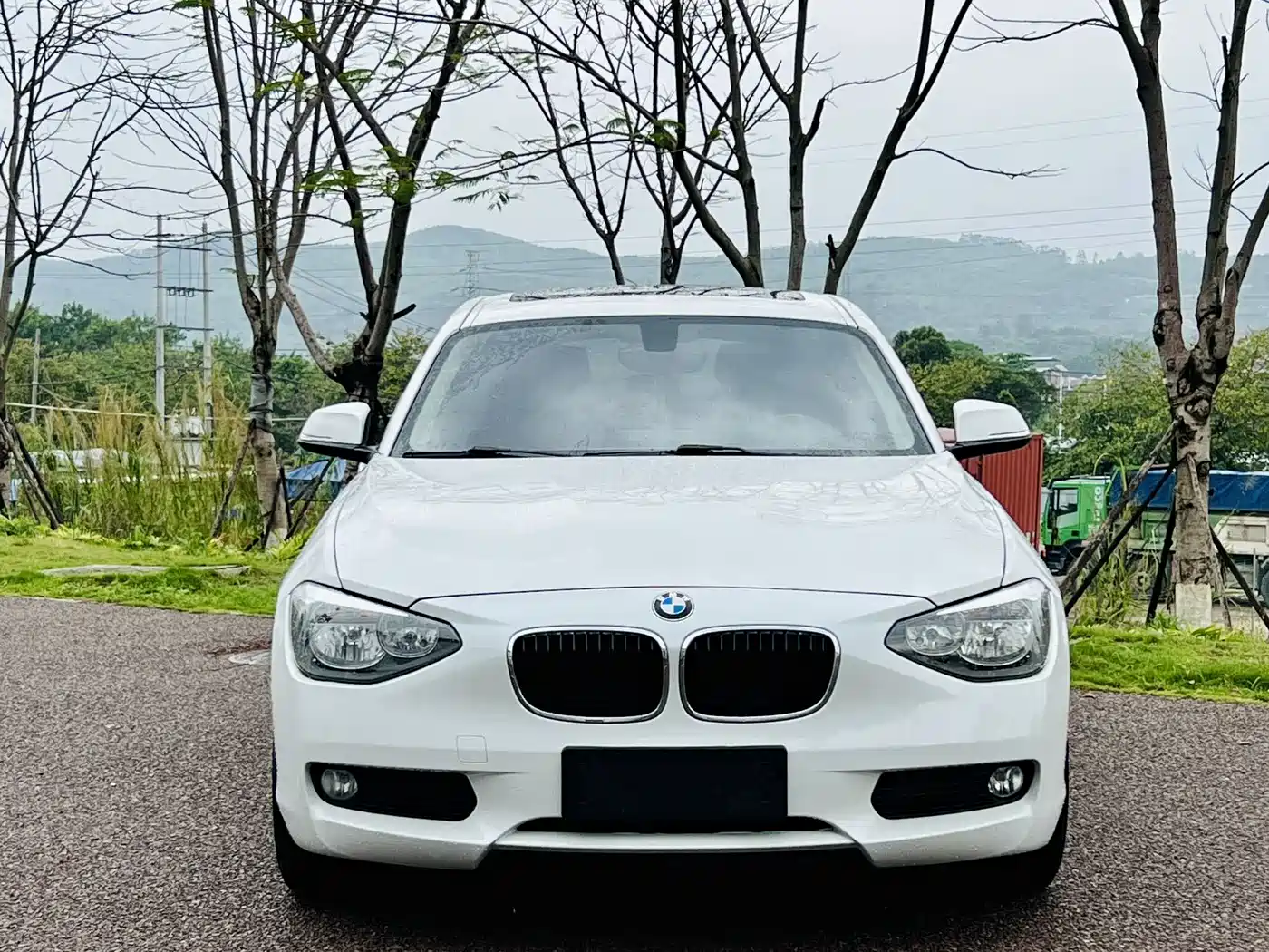 BMW 1 Series (Import) 2013 Facelift 116i Leading Model фото 2