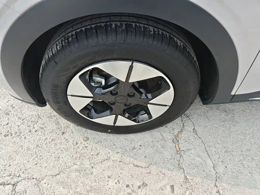 Geely Galaxy Starry Wish 2026 2026 Model 310km Dream Edition