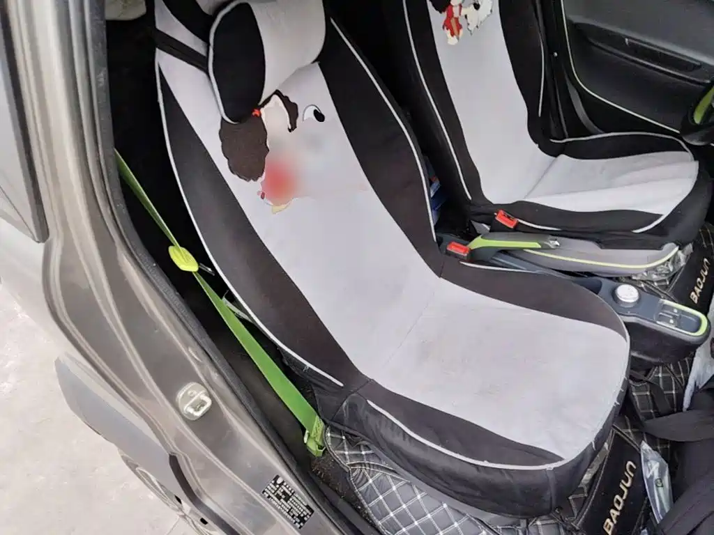 Baojun E100 2019 2019 250KM Smart Edition