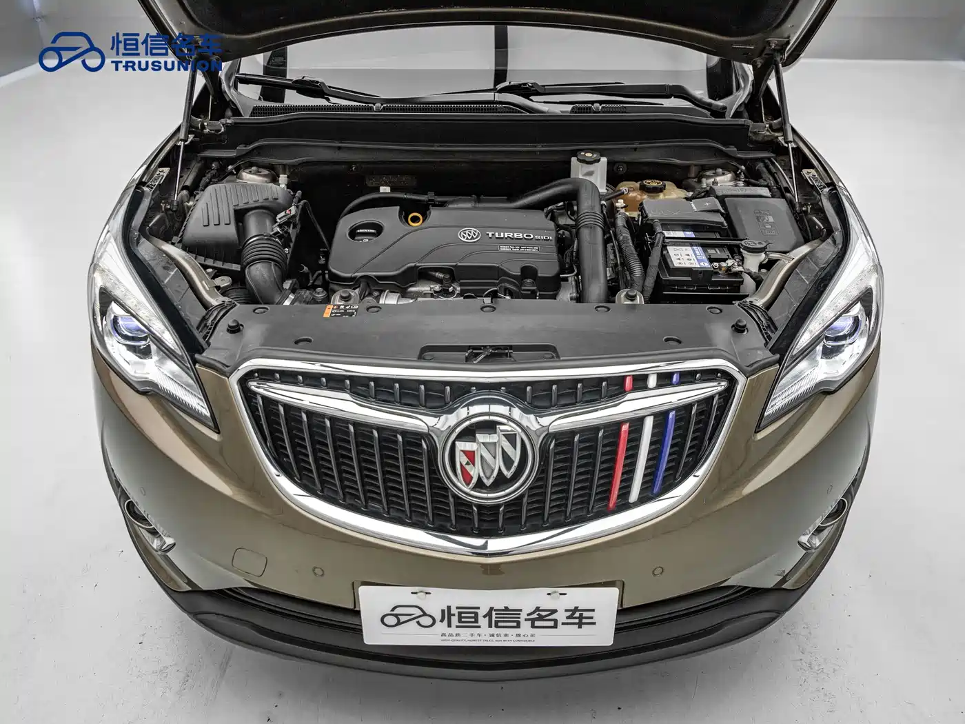 Buick Envision Plus 2019 20T 2WD Luxury Type China V фото 20