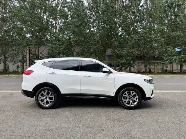 Haval H6 2021 Model National Trend Edition 1.5T Auto Champion — фото 4